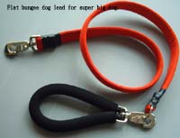 Global B2B directory Global trade lead